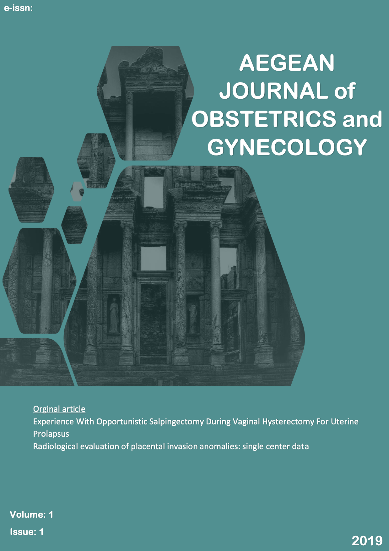 					View Vol. 1 No. 1 (2019): Aegean Journal of Obstetrics and Gynecology
				